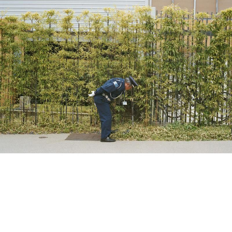 Gold Panda Good Luck and Do Your Best Artwork