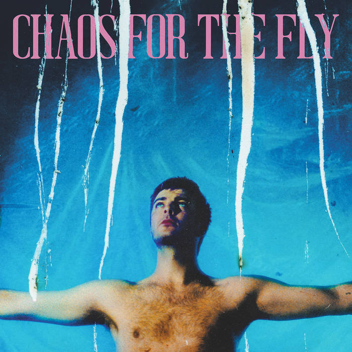 Grian Chatten Chaos For The Fly cover