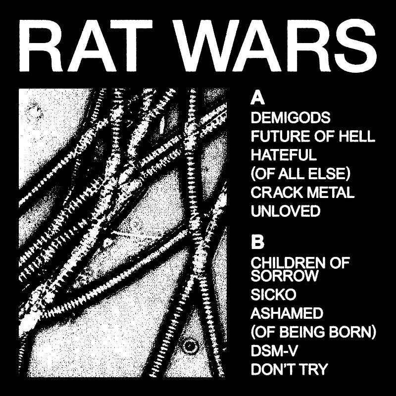 HEALTH RAT WARS cover
