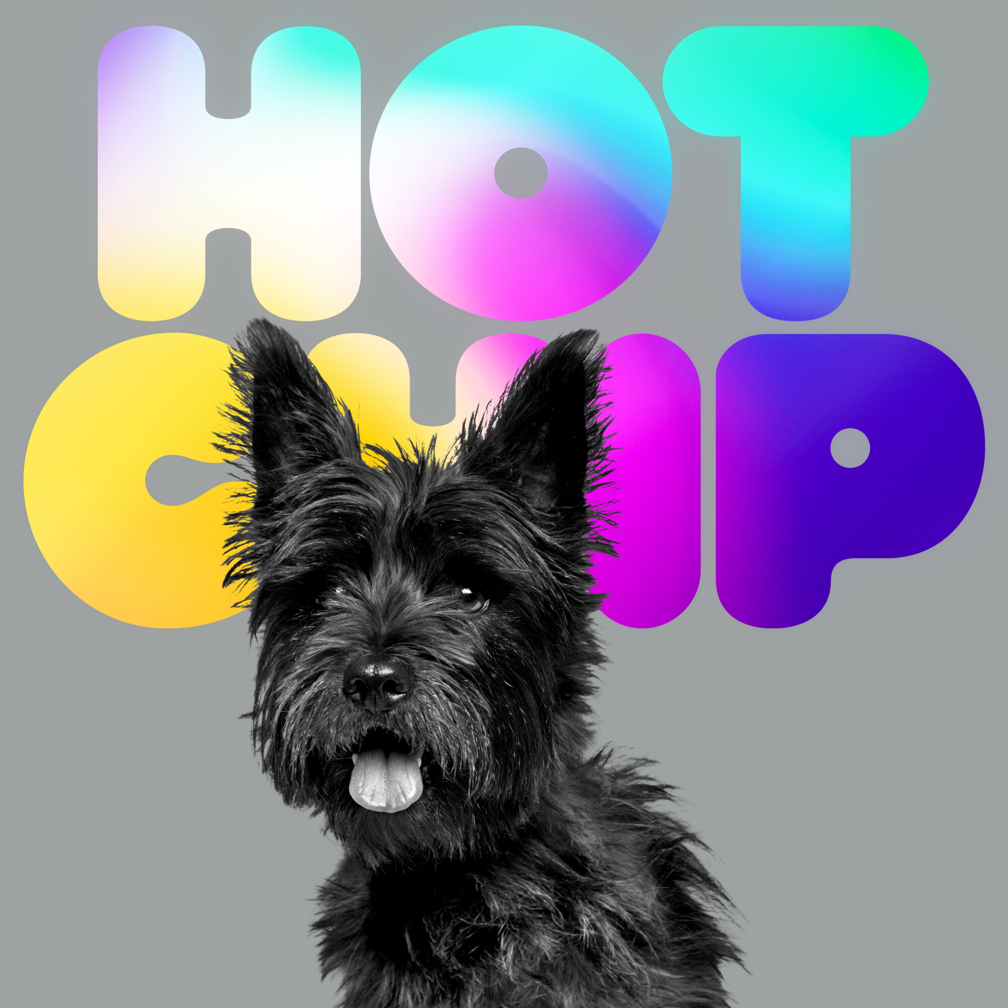 Hot Chip A Long Way From Kansas Packshot WIG534 D