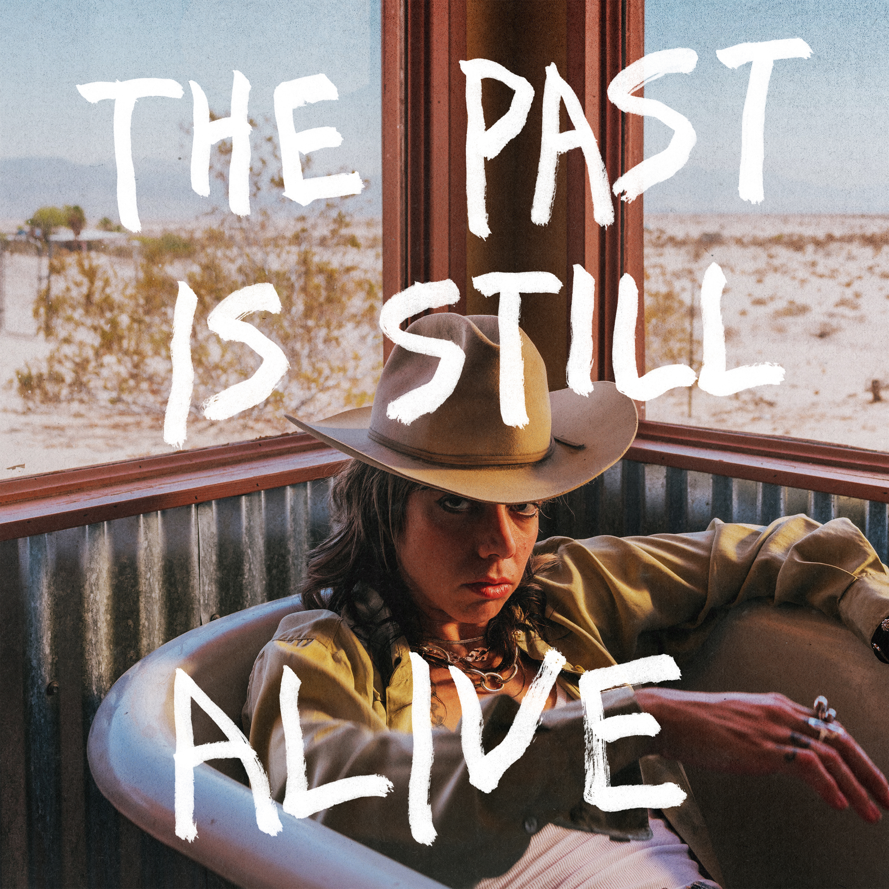 Hurray For The Riff Raff The Past Still Lives cover