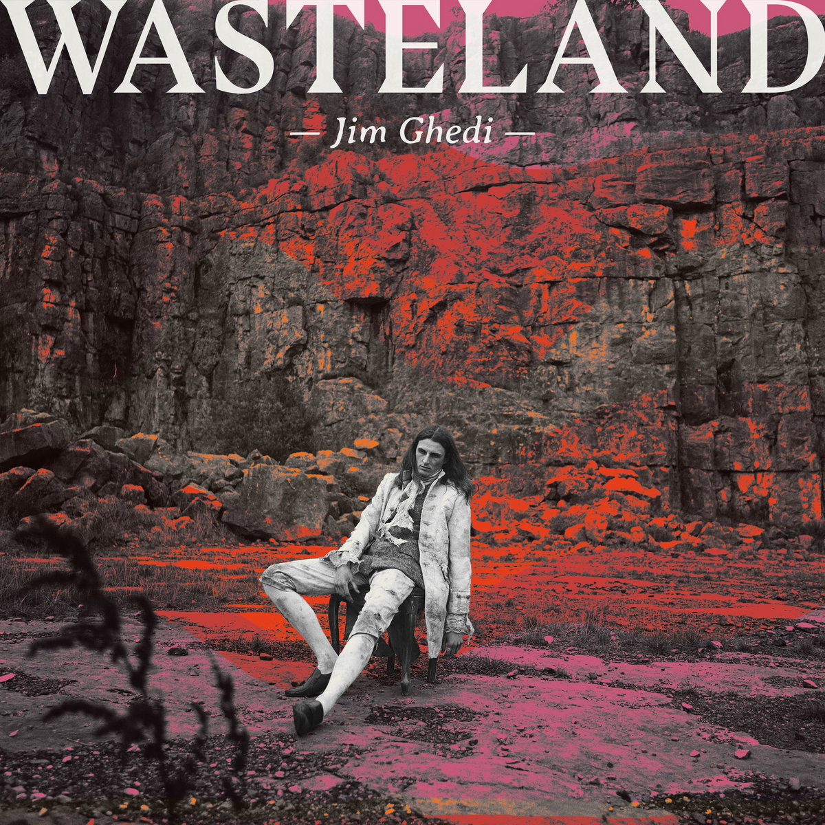 Jim Gedhi Wasteland cover
