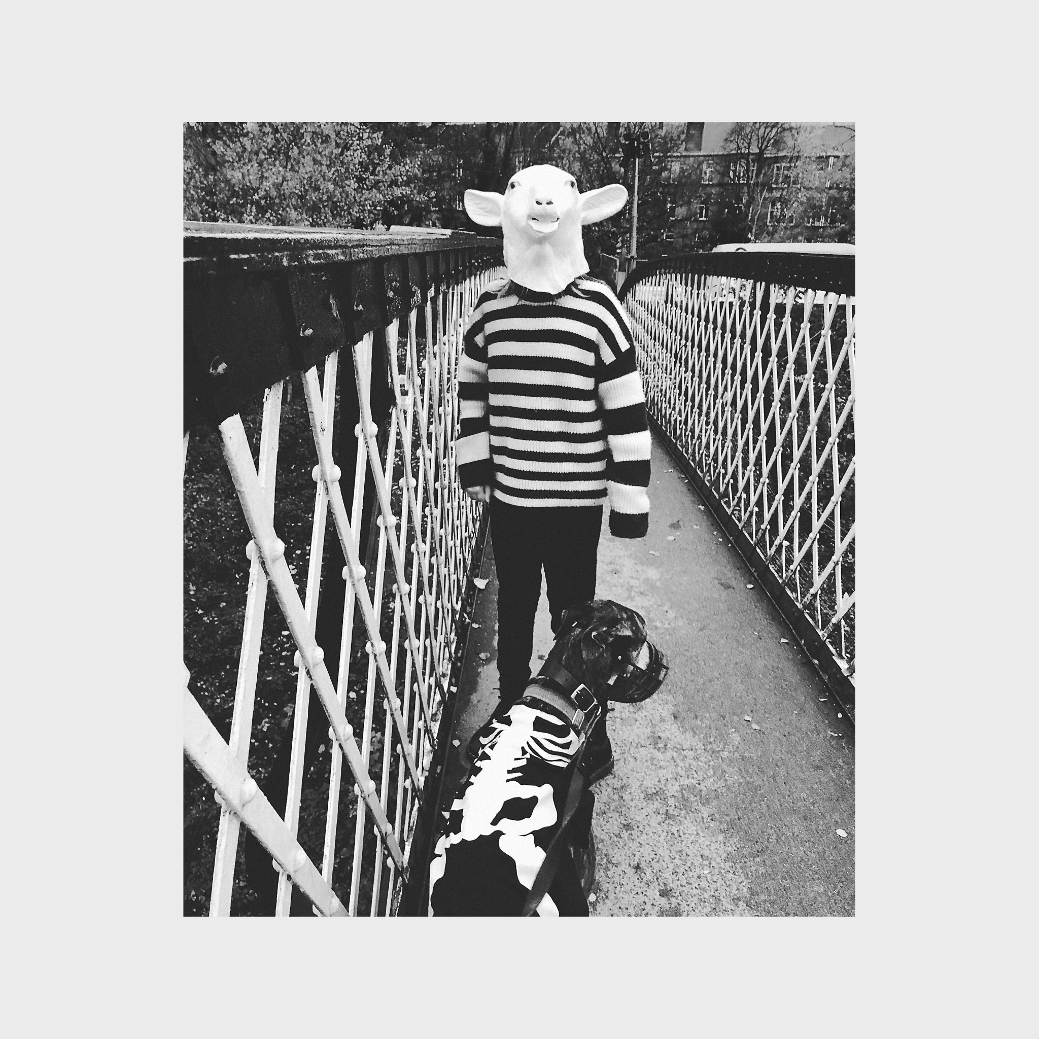 Kathryn Joseph WE WERE MADE PREY cover