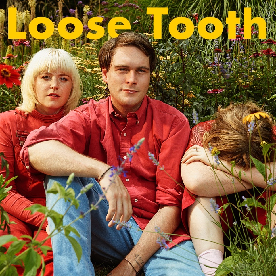 LT Front Cover Web