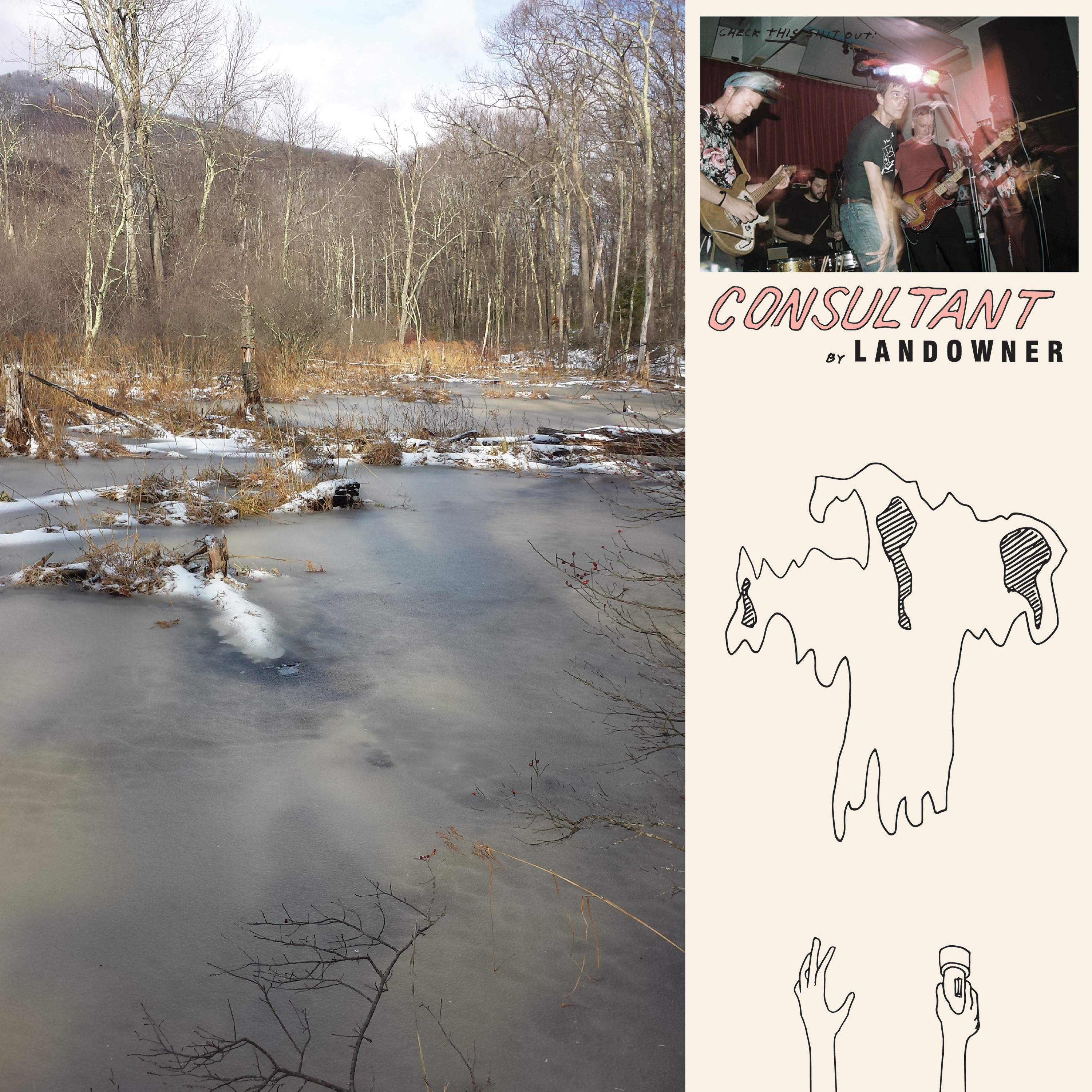 Landowner Consultant album review