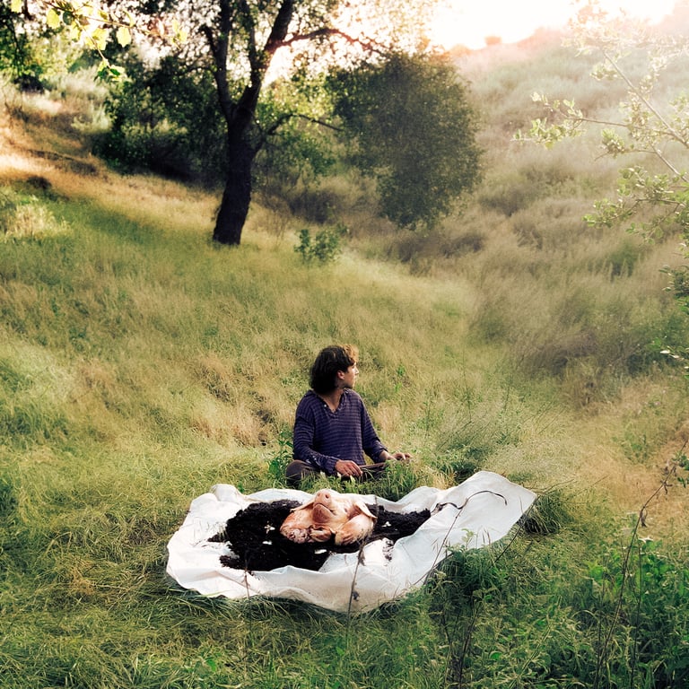 Lane Hartley No Home 1500x1500