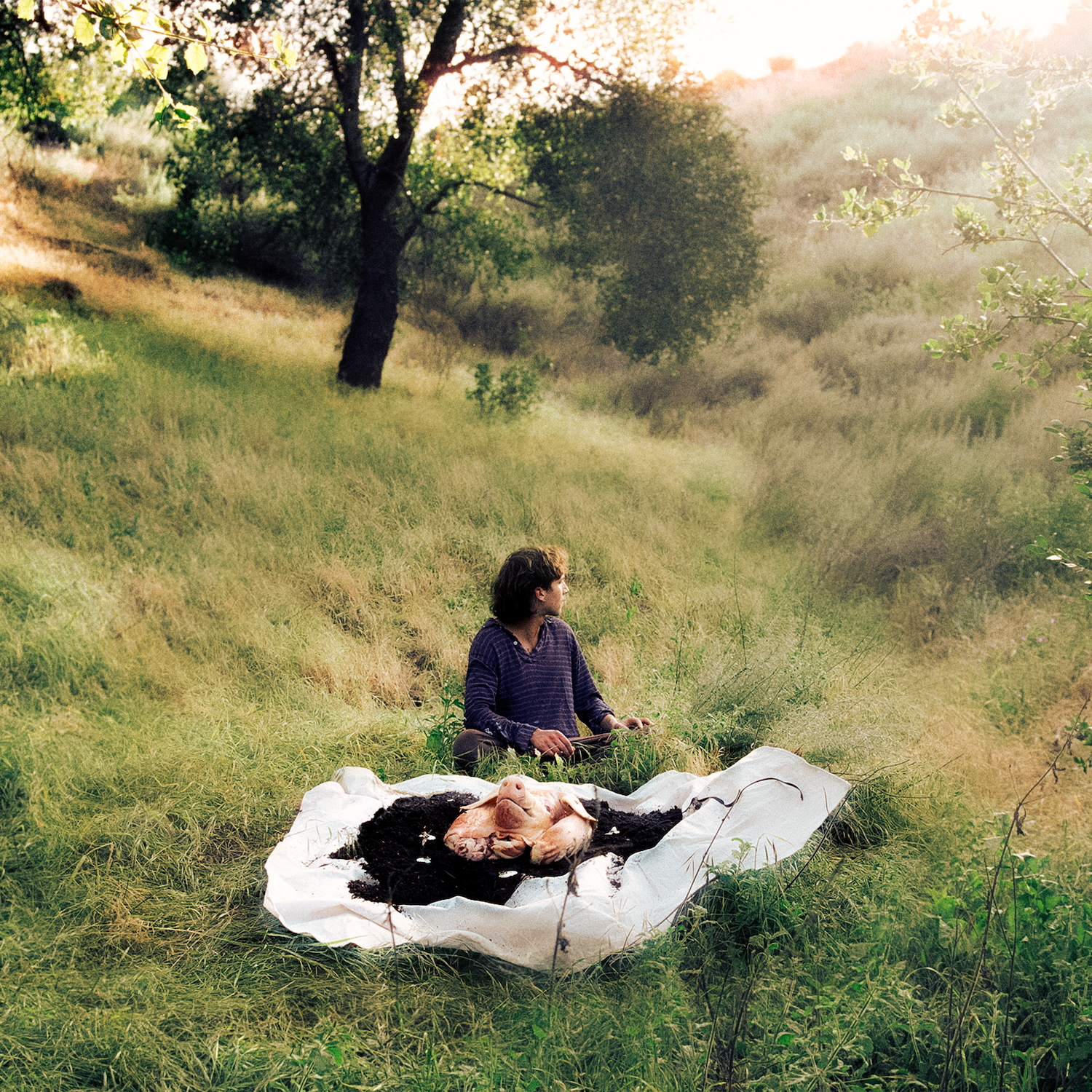 Lane Hartley No Home 1500x1500