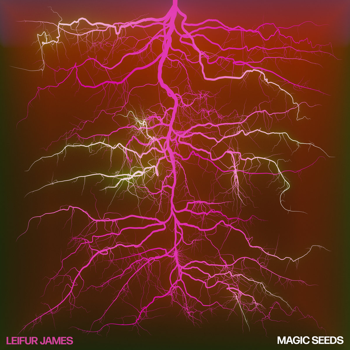 Leifur James Magic Seeds album art
