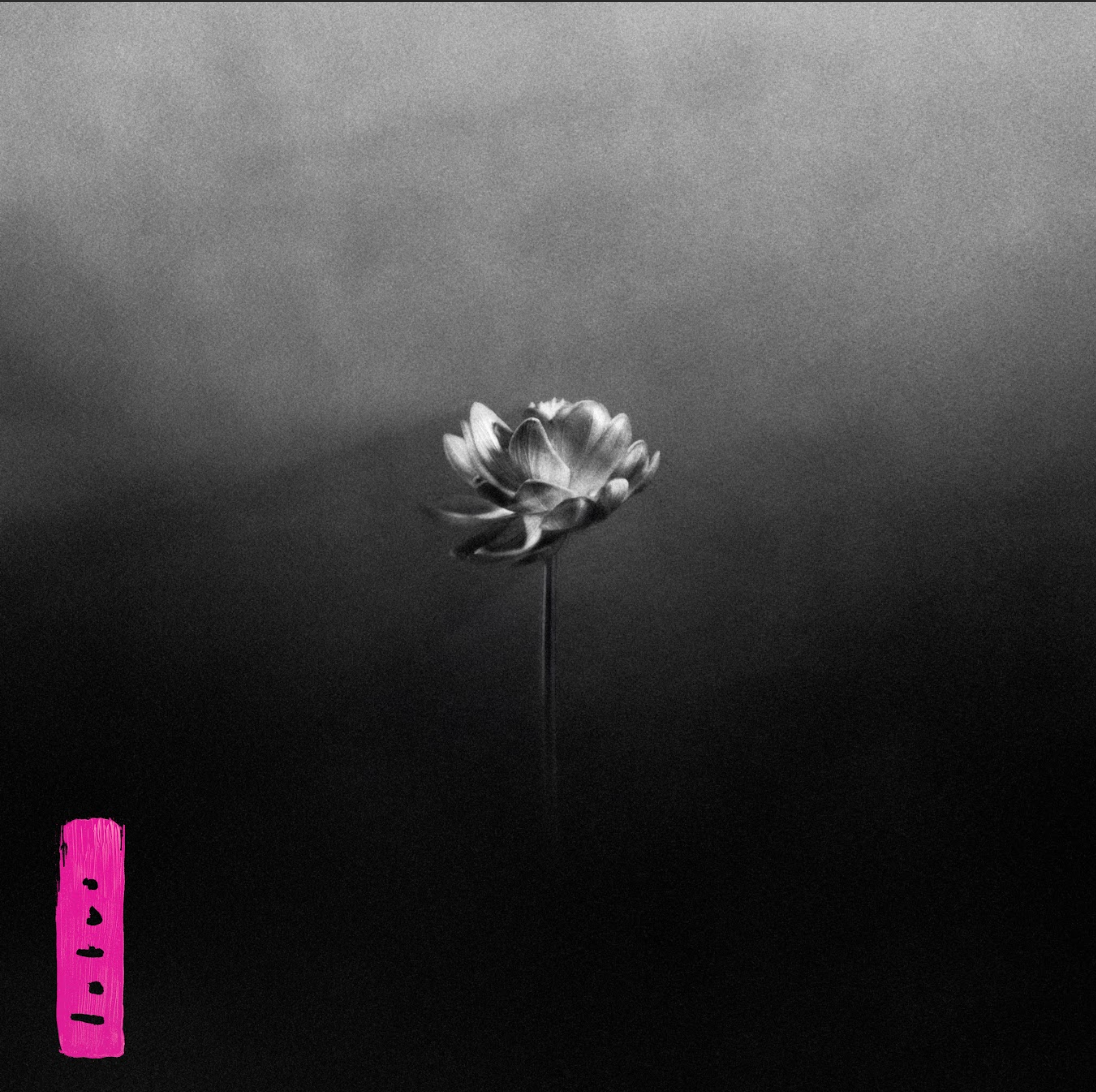 Little Simz LOTUS cover