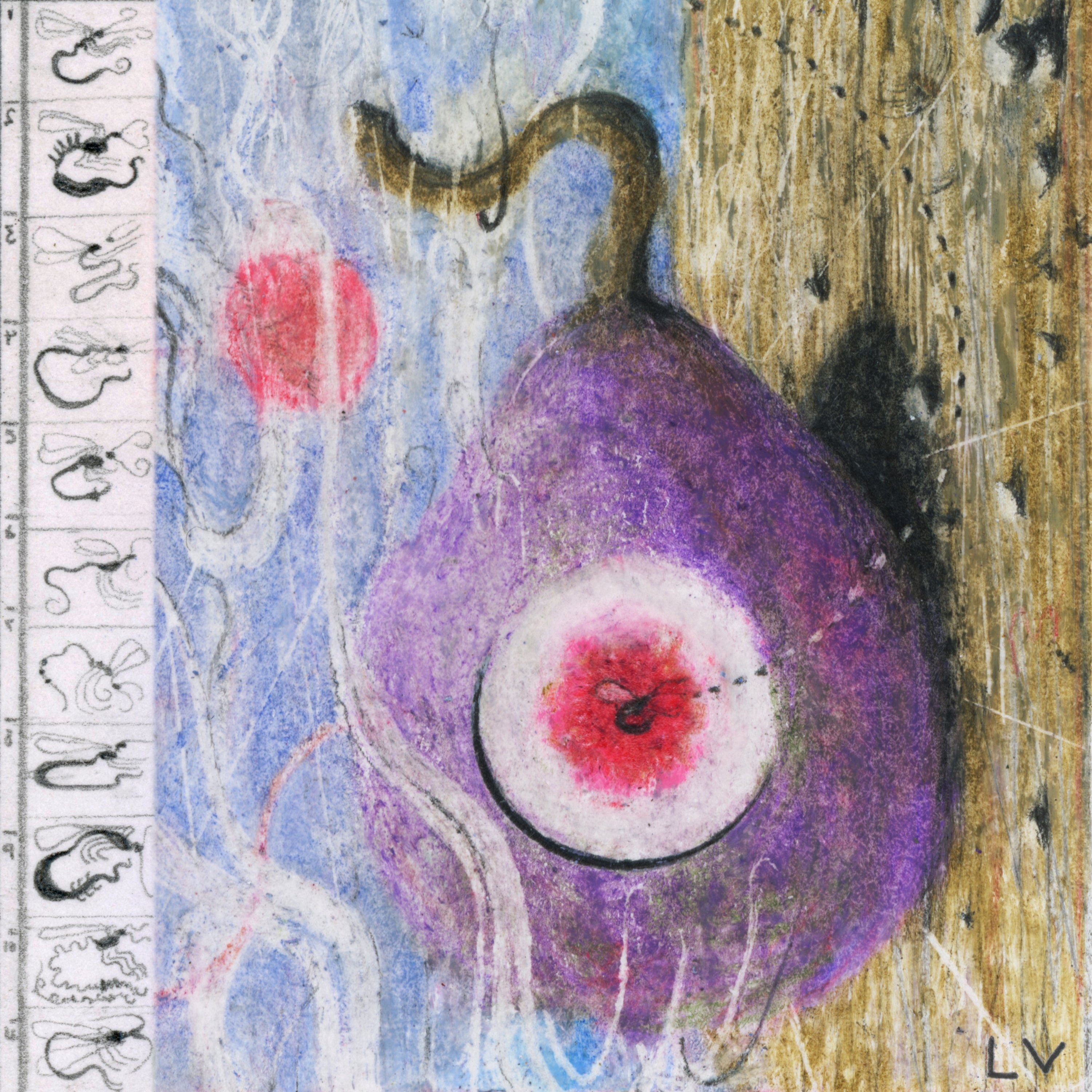 Lunar Vacation Inside Every Fig is a Dead Wasp