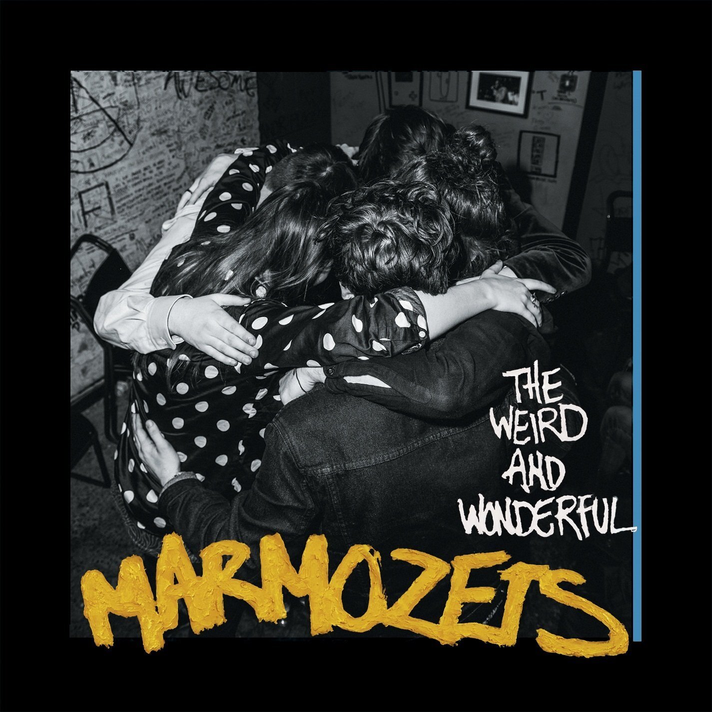 Marmozets The Weird and Wonderful Marmozets