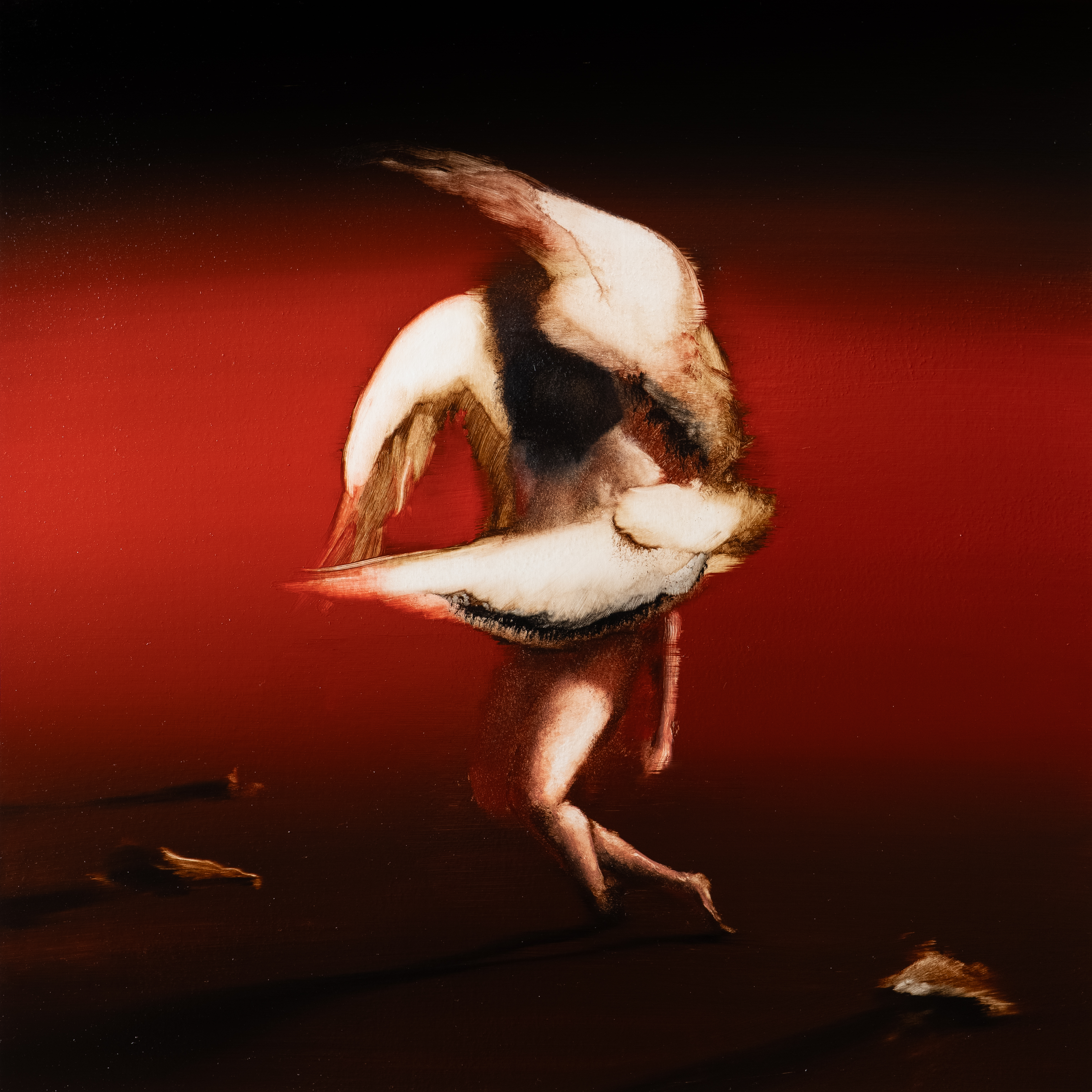 Maruja Pain to Power cover Mikey Thomas