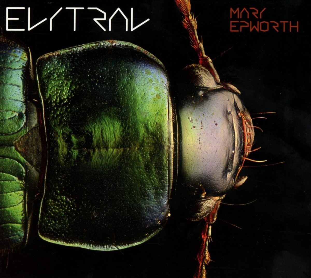 Mary Epworth Elytral