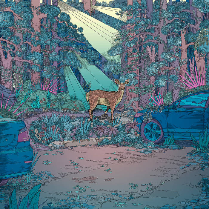 Michael Cera Palin WCBB cover