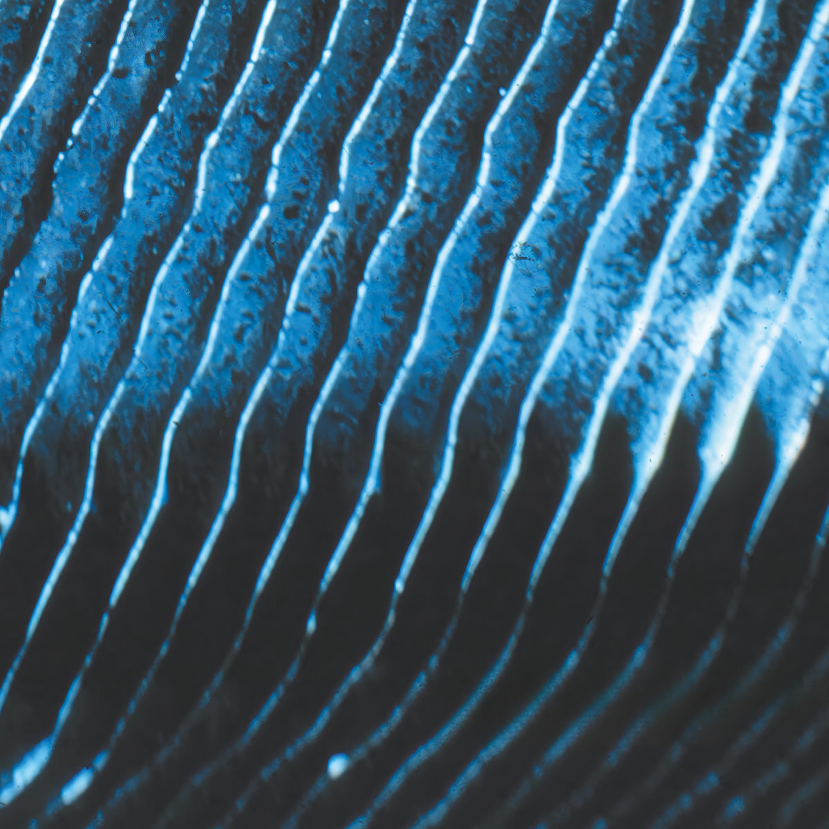 Monolake Gravity cover