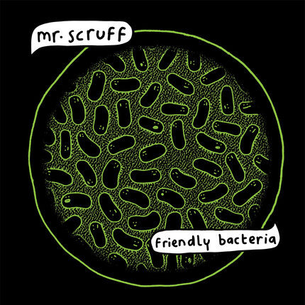 Mr Scruff Friendly Bacteria