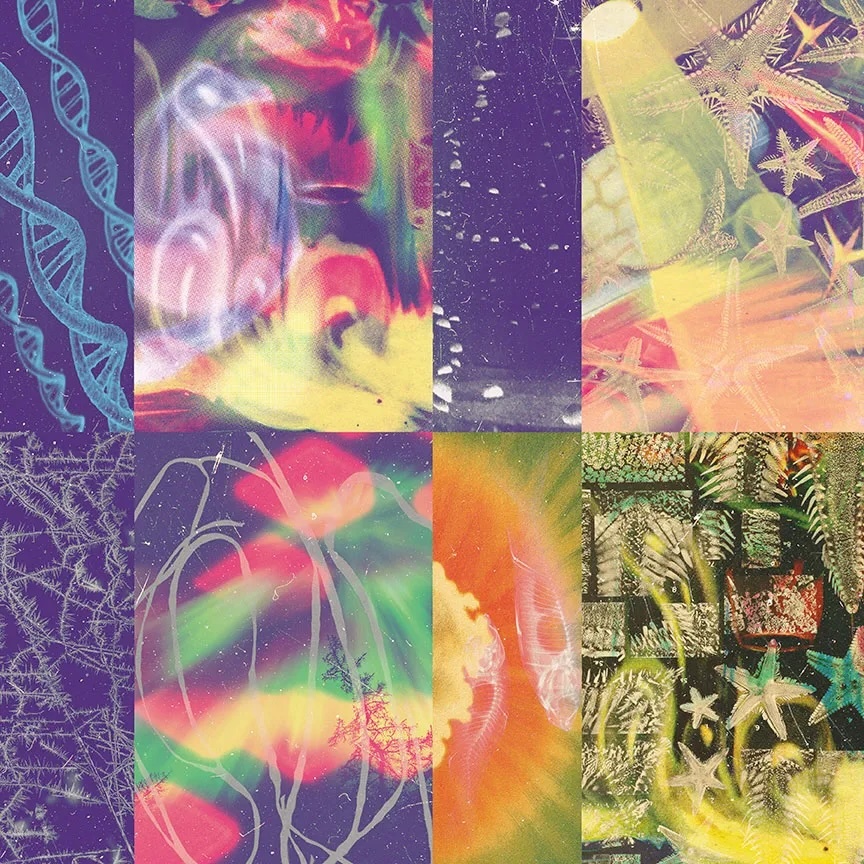 Nap Eyes The Neon Gate cover jpg