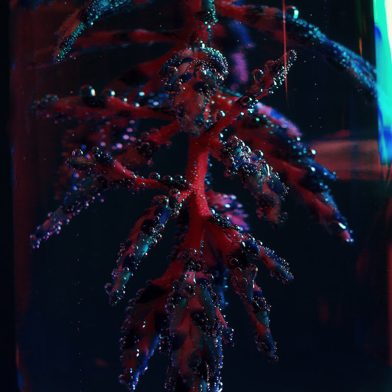 OBJEKT COCOON