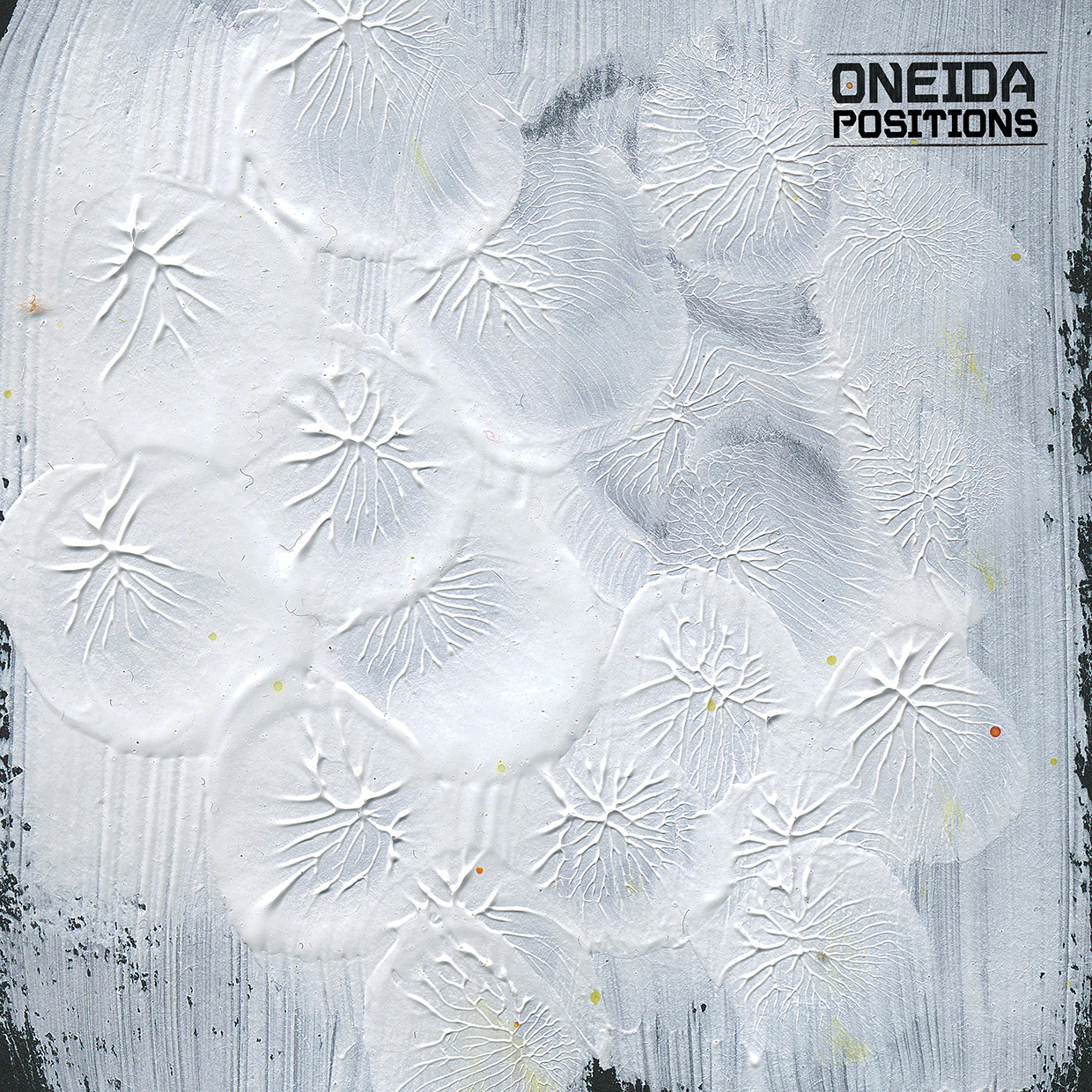 Oneida Positions