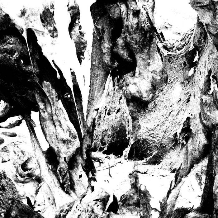 Other Half Soft Action Art