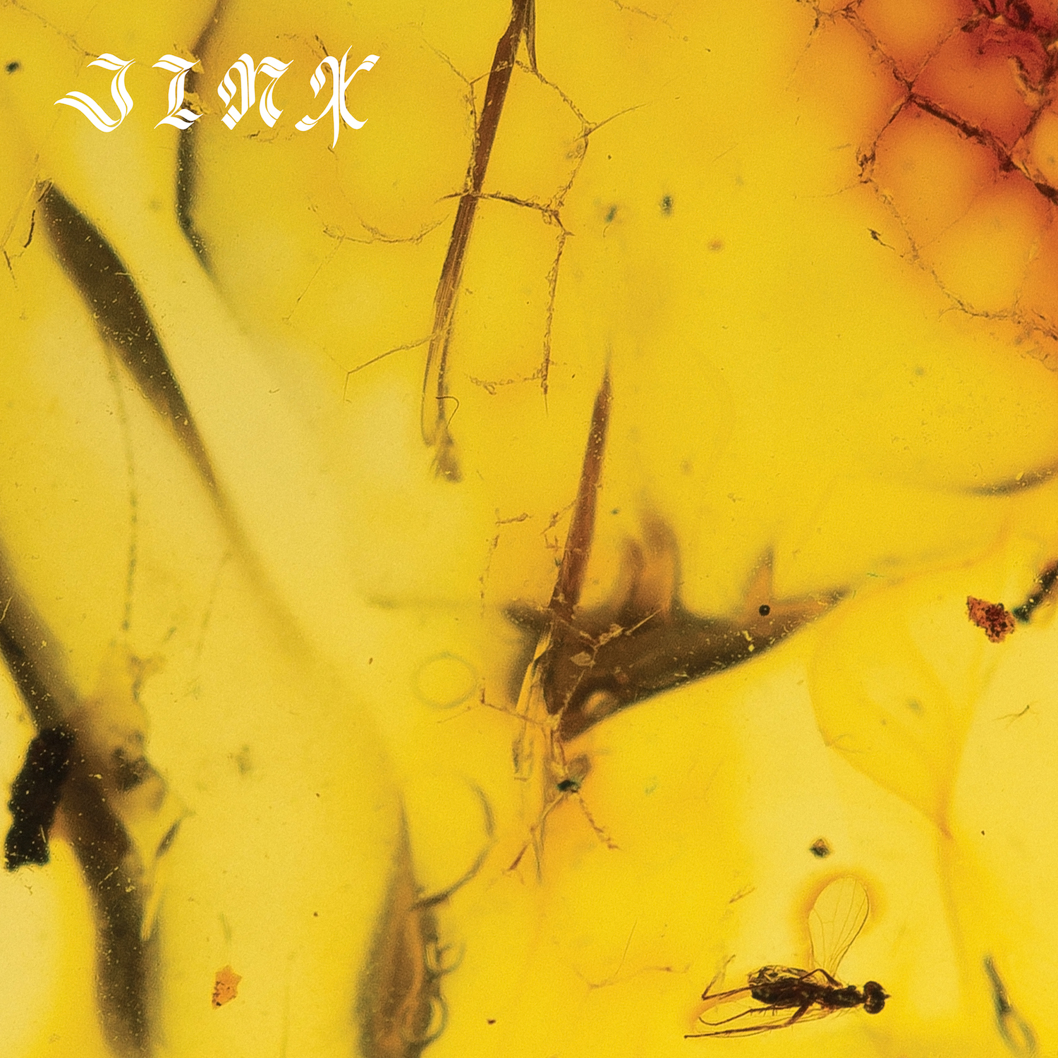 PACKSHOT CRUMB Jinx Album Art Final 3600x3600