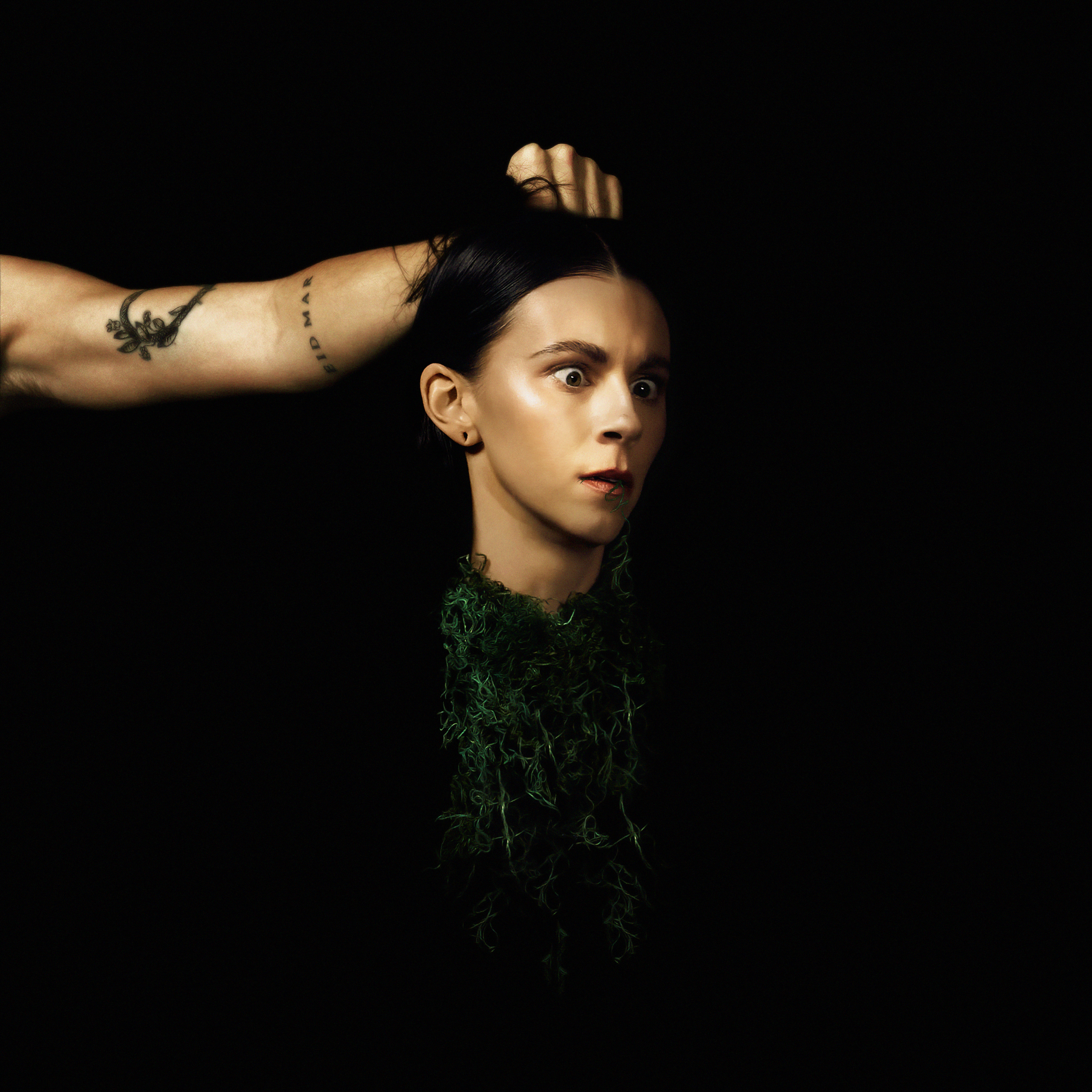 PVRIS - EVERGREEN cover