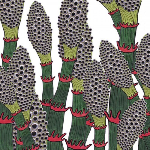Part Chimp iv cover