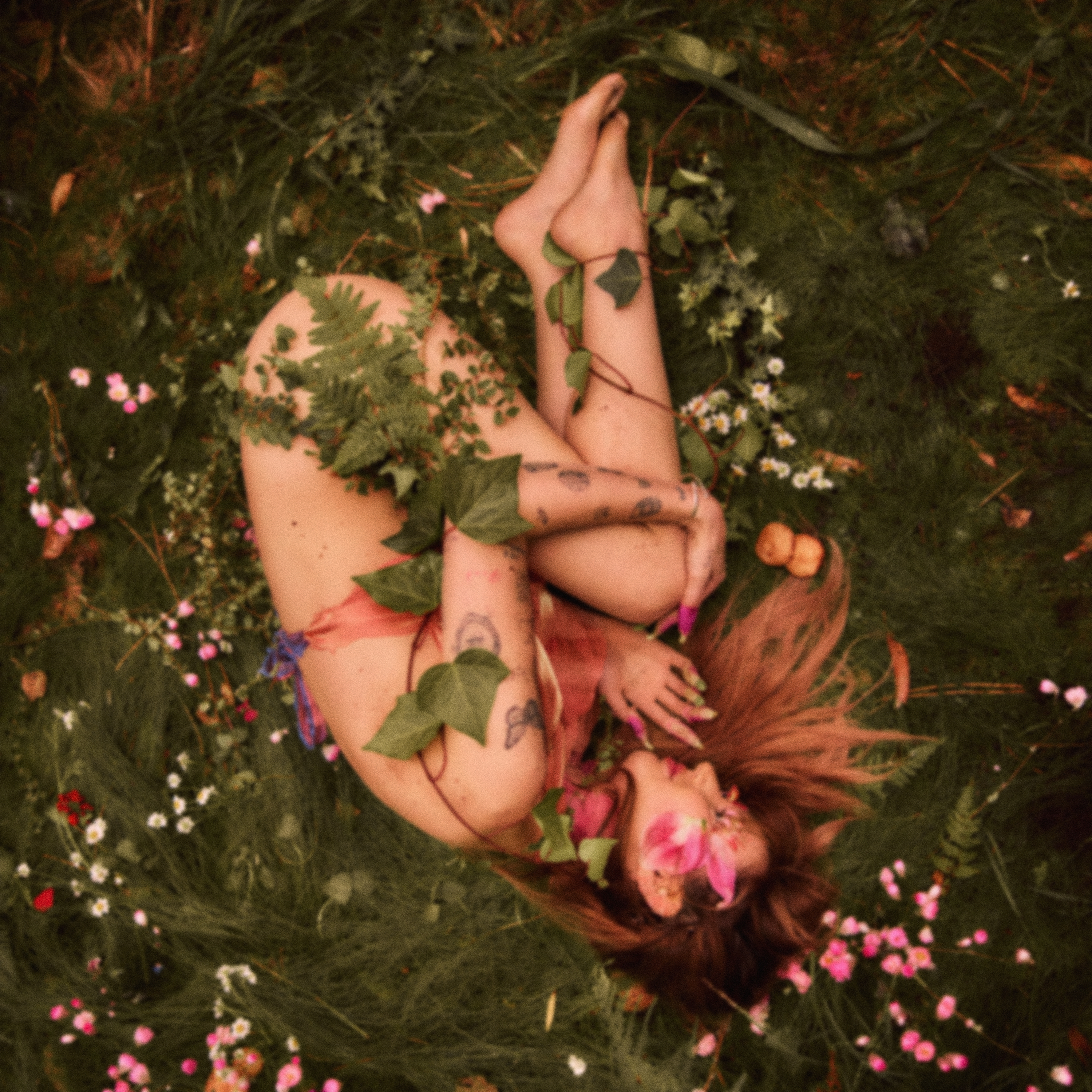 Peach PRC Porcelain cover