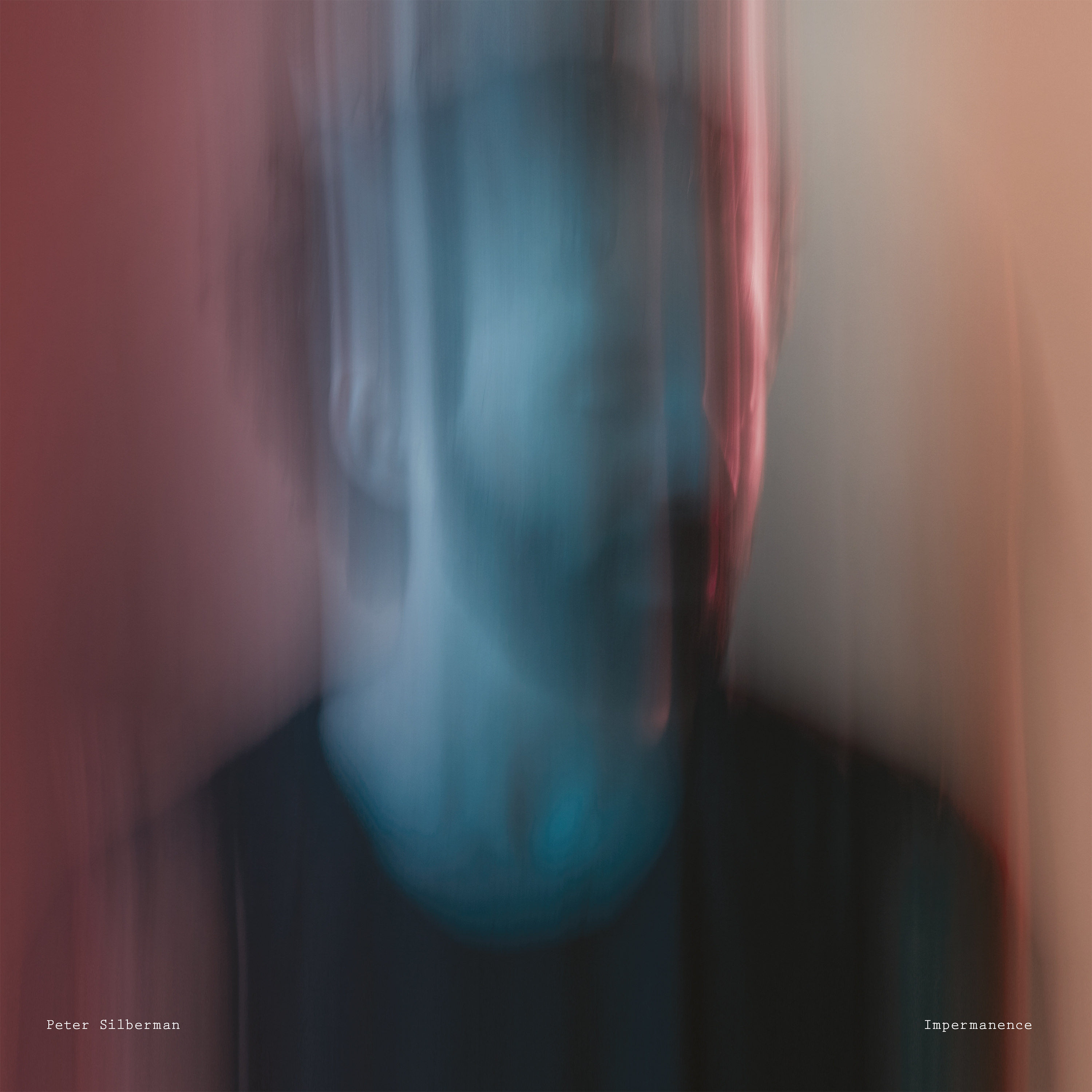 Peter Silberman Impermanence1