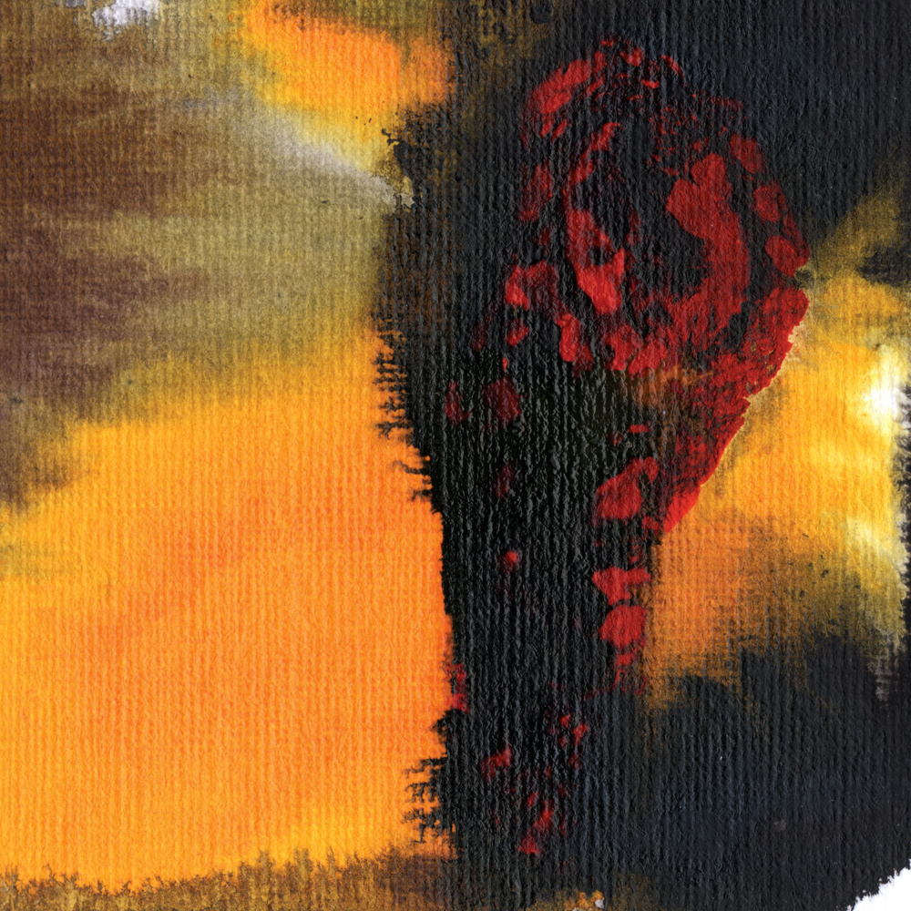 Polar Bear Same As You