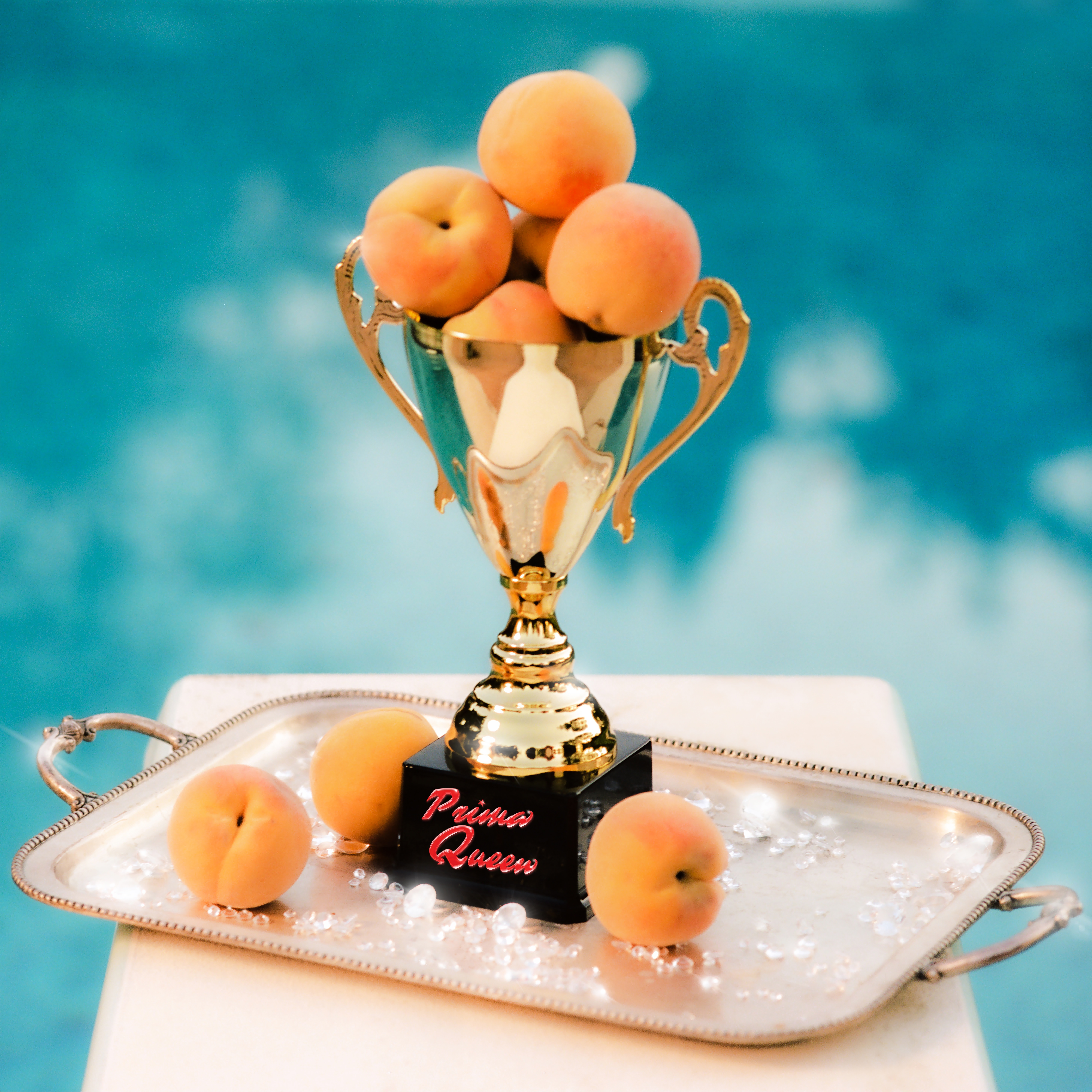 Prima Queen The Prize cover