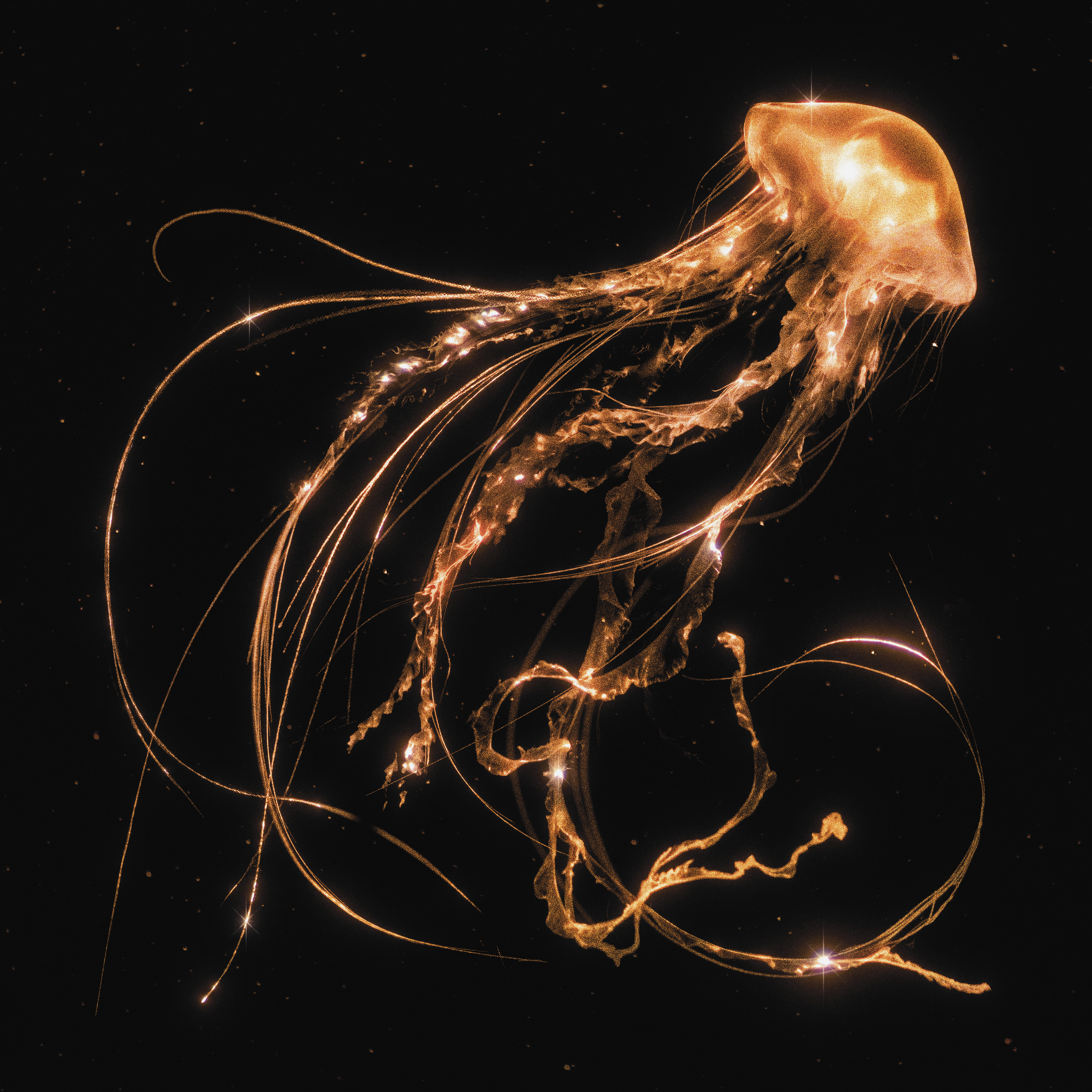 Royal Blood Back To The Water Below cover