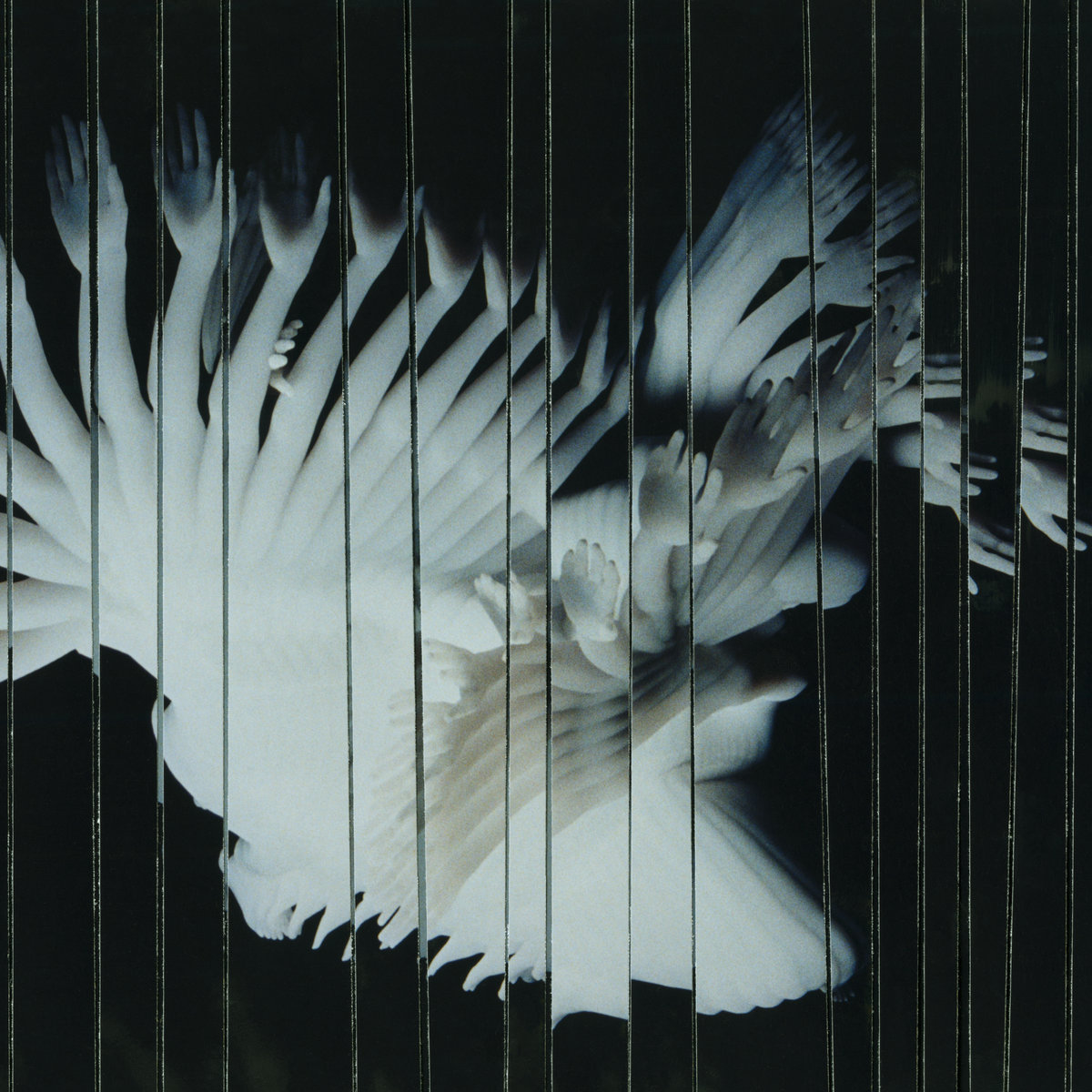 SCALER Endlessly cover