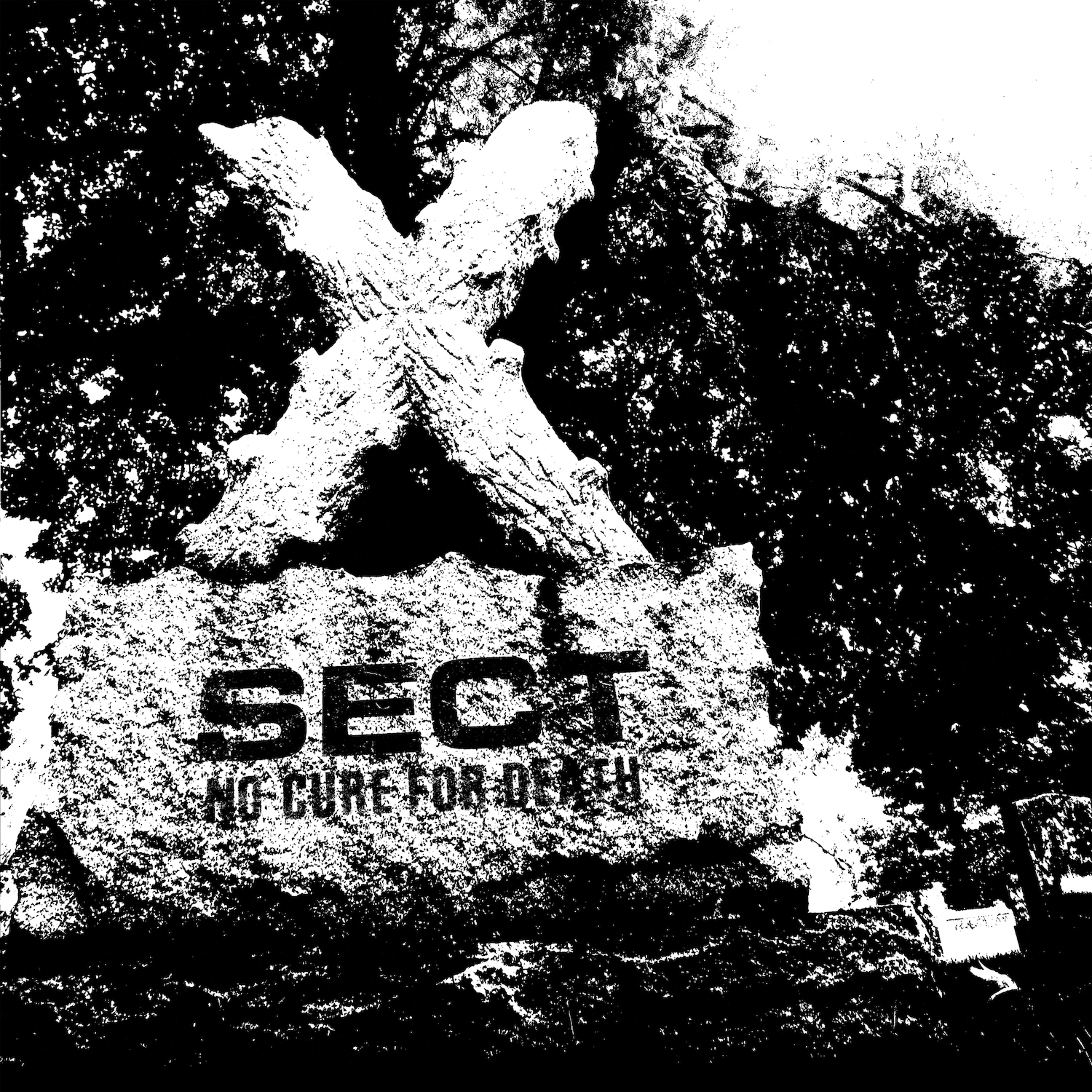 SECT No Cure For Death