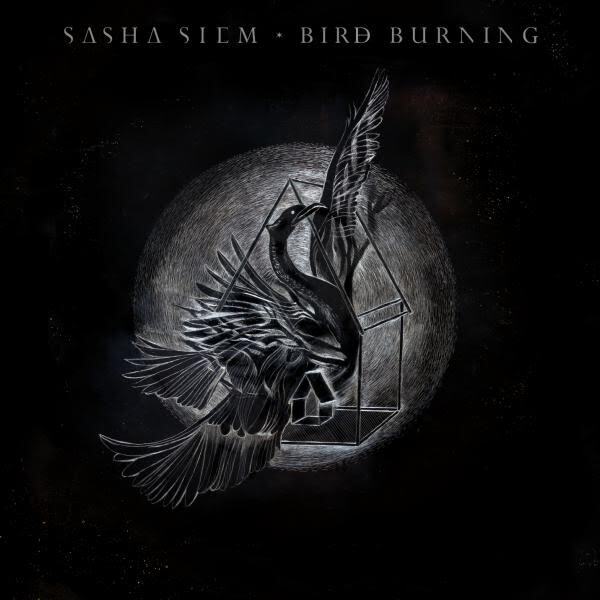 Sasha Siem Bird Burning