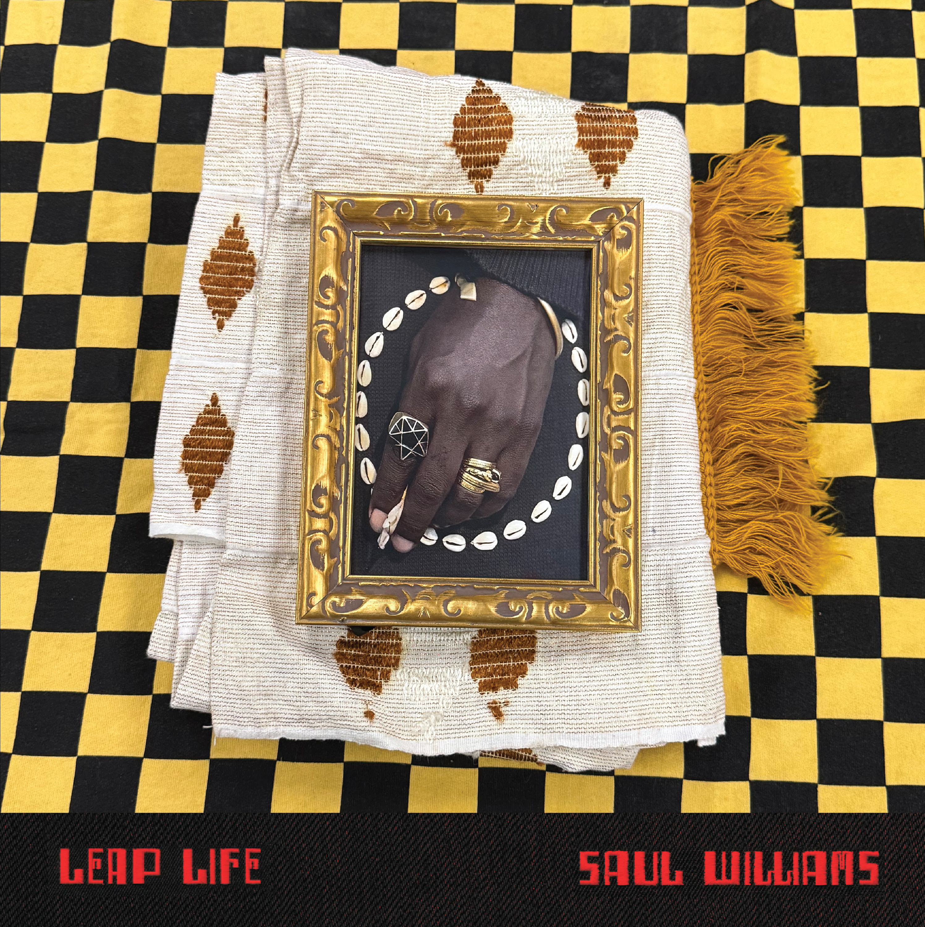 Saul Williams Leap Life cover