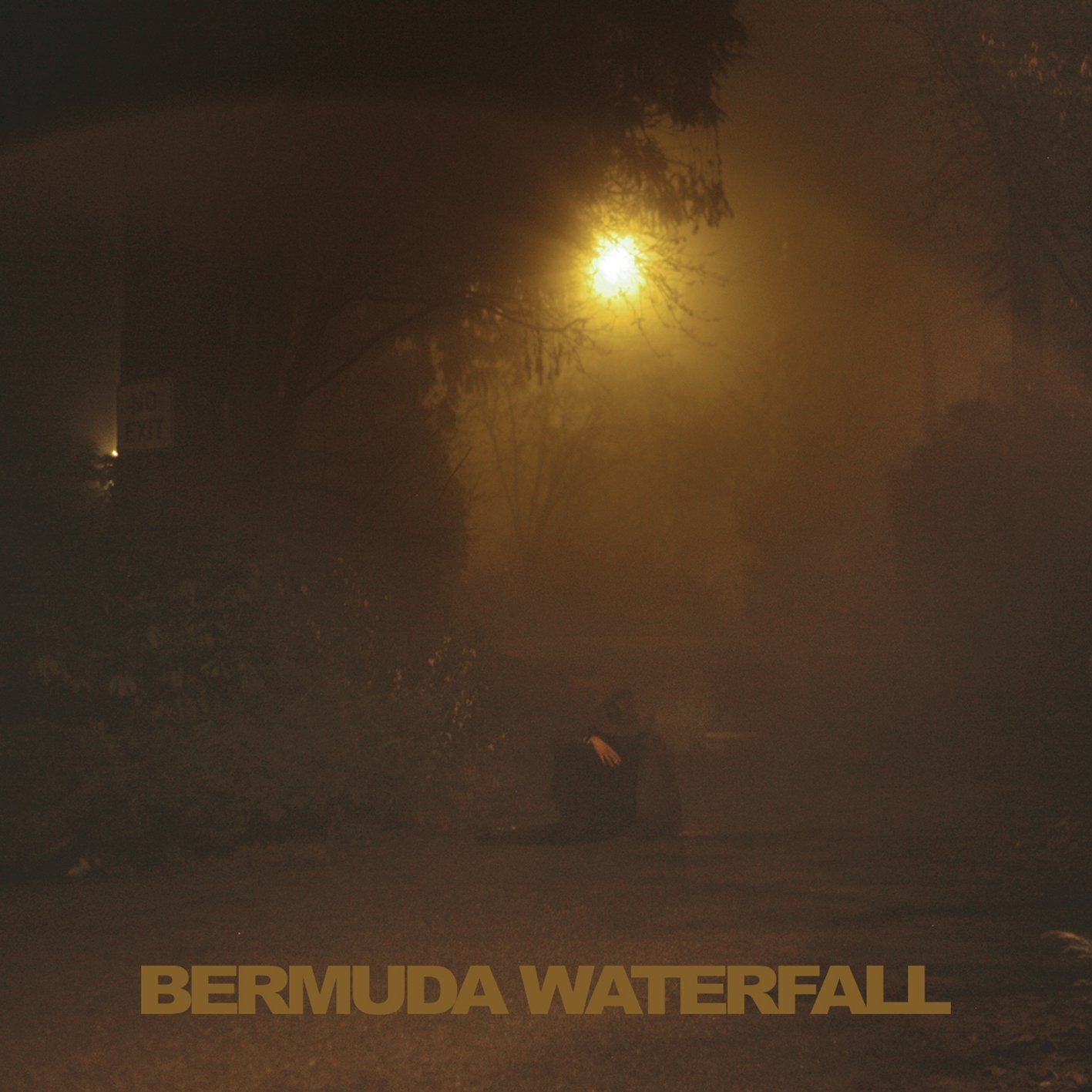 Sean Nicholas Savage Bermuda Waterfall