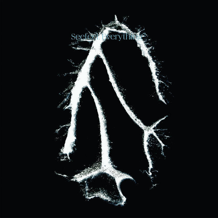 Seefeel Everything Squared cover
