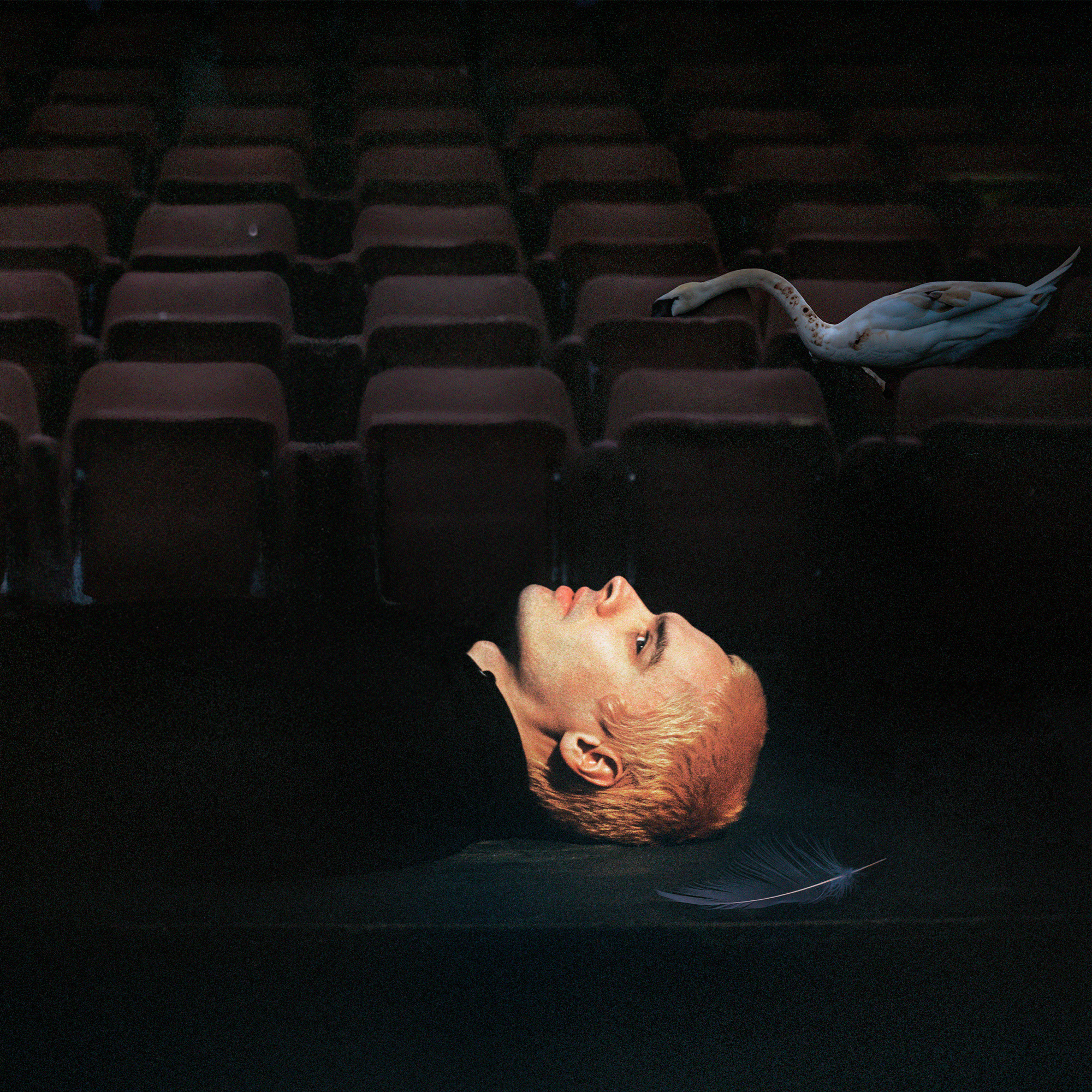 Sega Bodega NEW Dennis cover