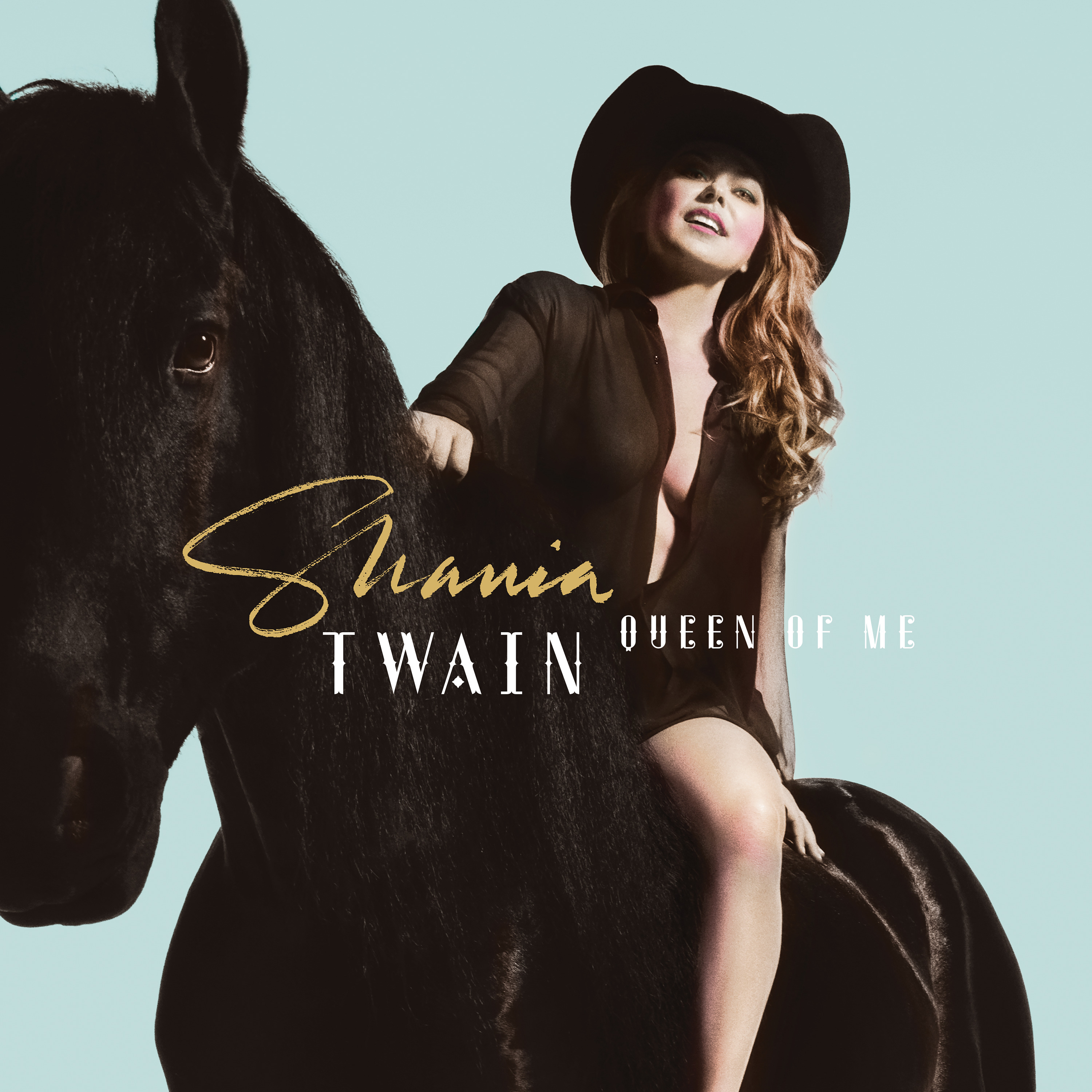 Shania Twain - Queen of Me cover