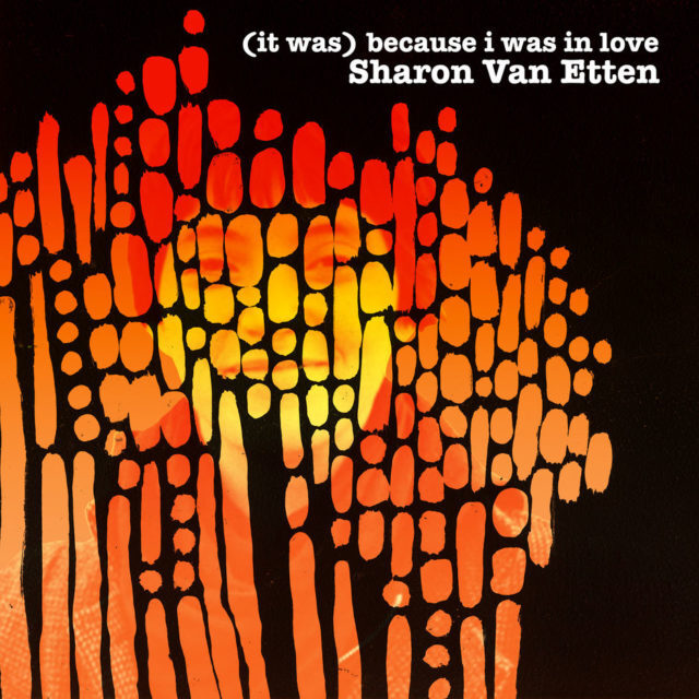 Sharon Van Etten It Was Because I Wasin Love