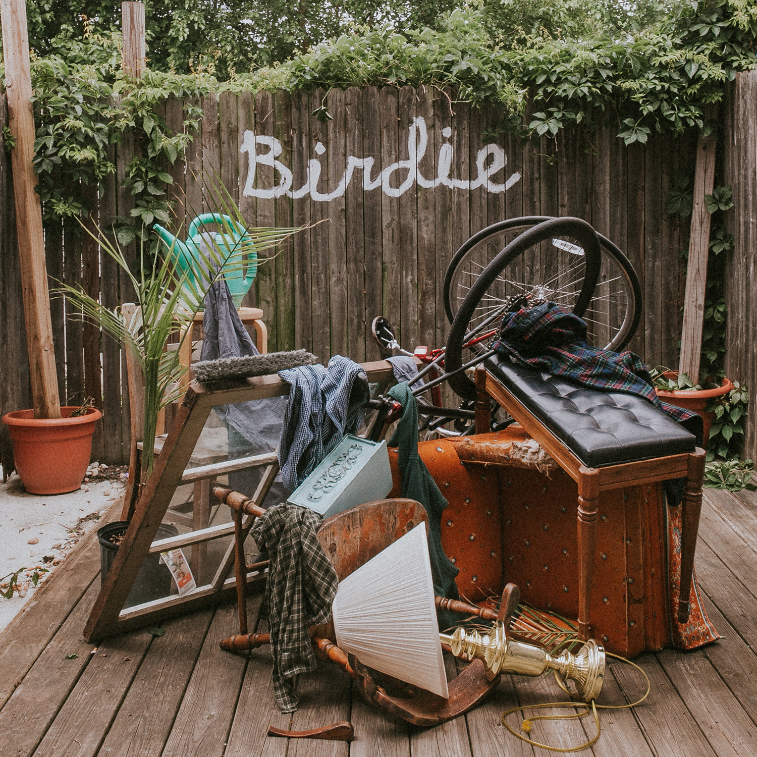 Slaughter Beach Dog Birdie