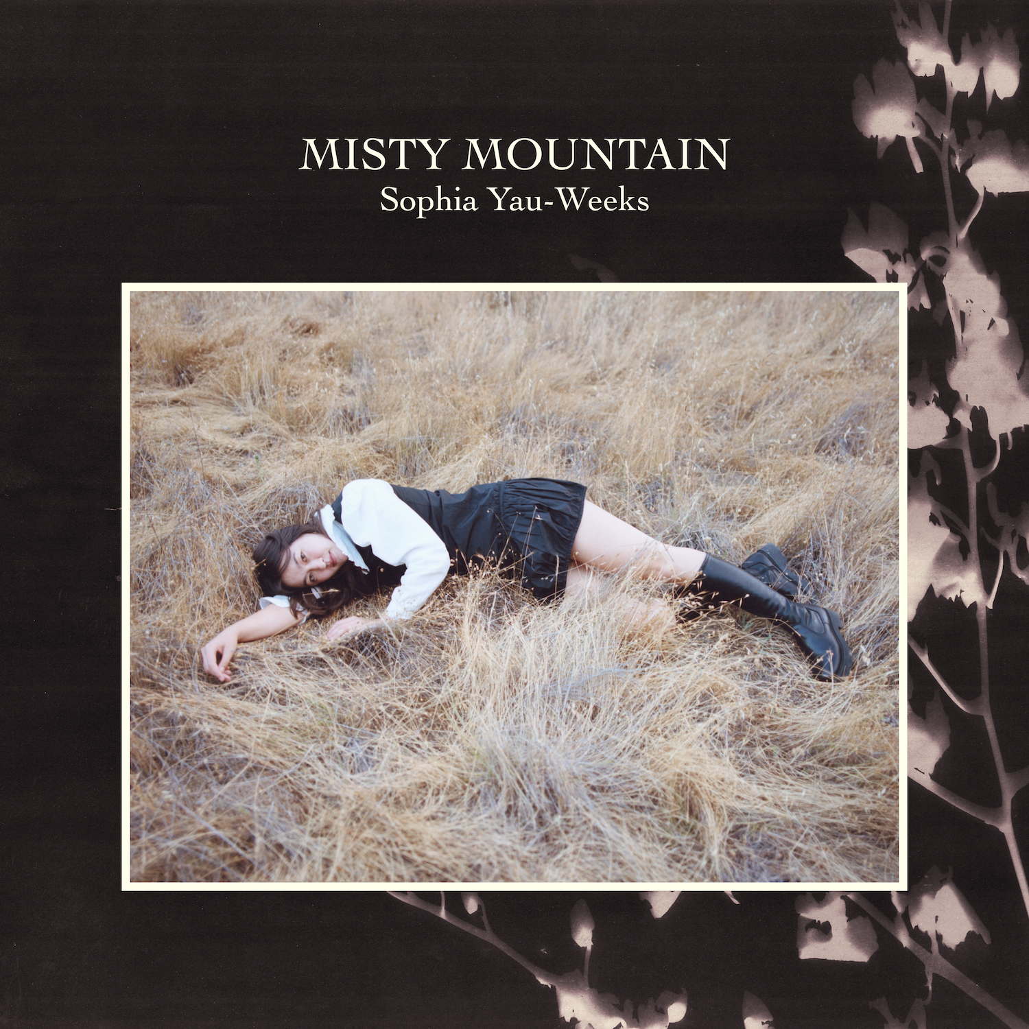 Sophia Yau Weeks Misty Mountain album artwork