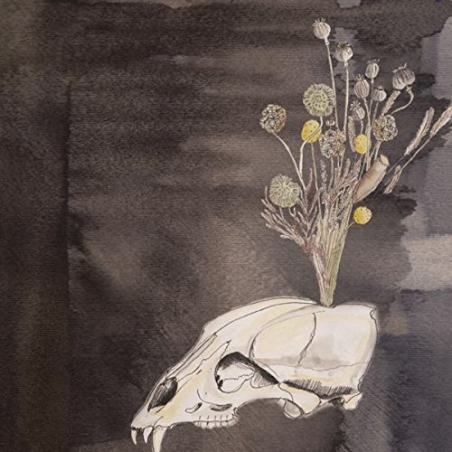 Steve Gunn The Black Twig Pickers Seasonal Hire