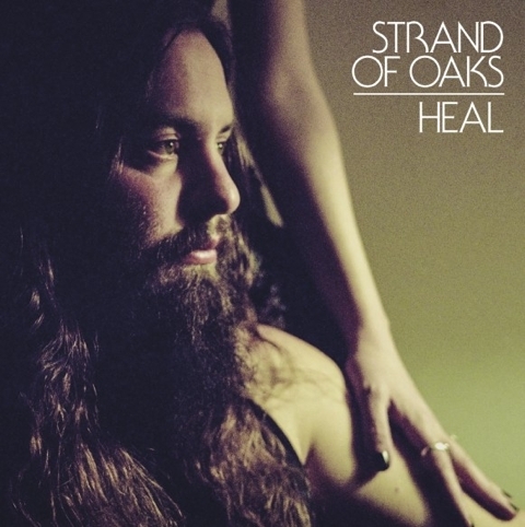 Strand of oaks heal