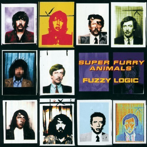 Super Furry Animals Fuzzy Logic