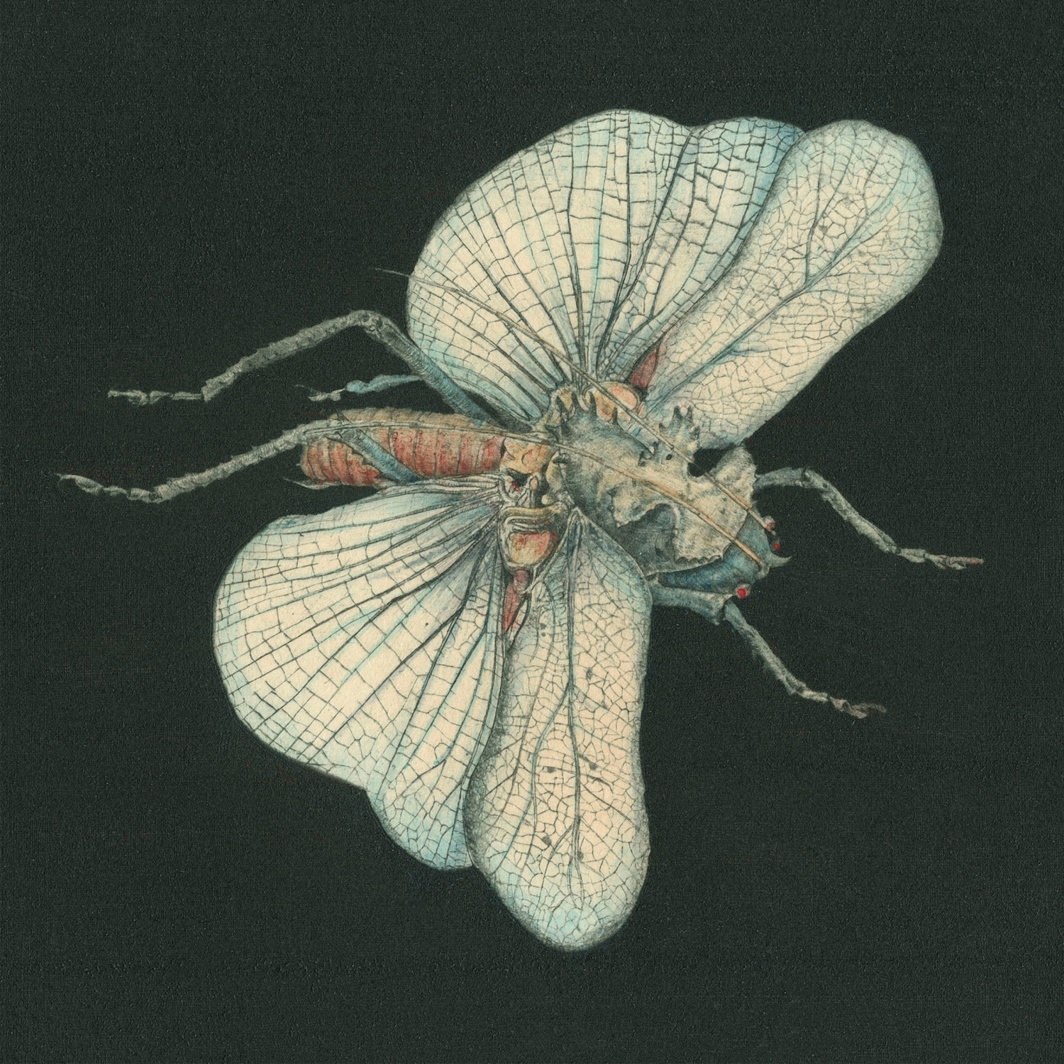 Susanna Go Dig My Grave