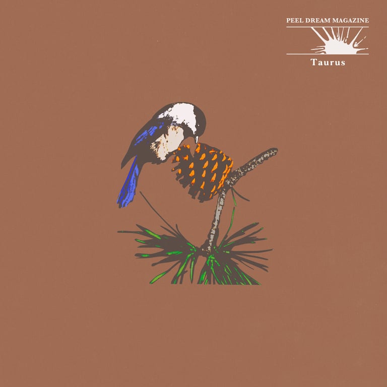 Taurus album art
