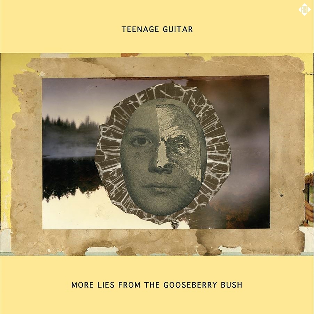 Teenage Guitar More Lies from the Gooseberry Bush