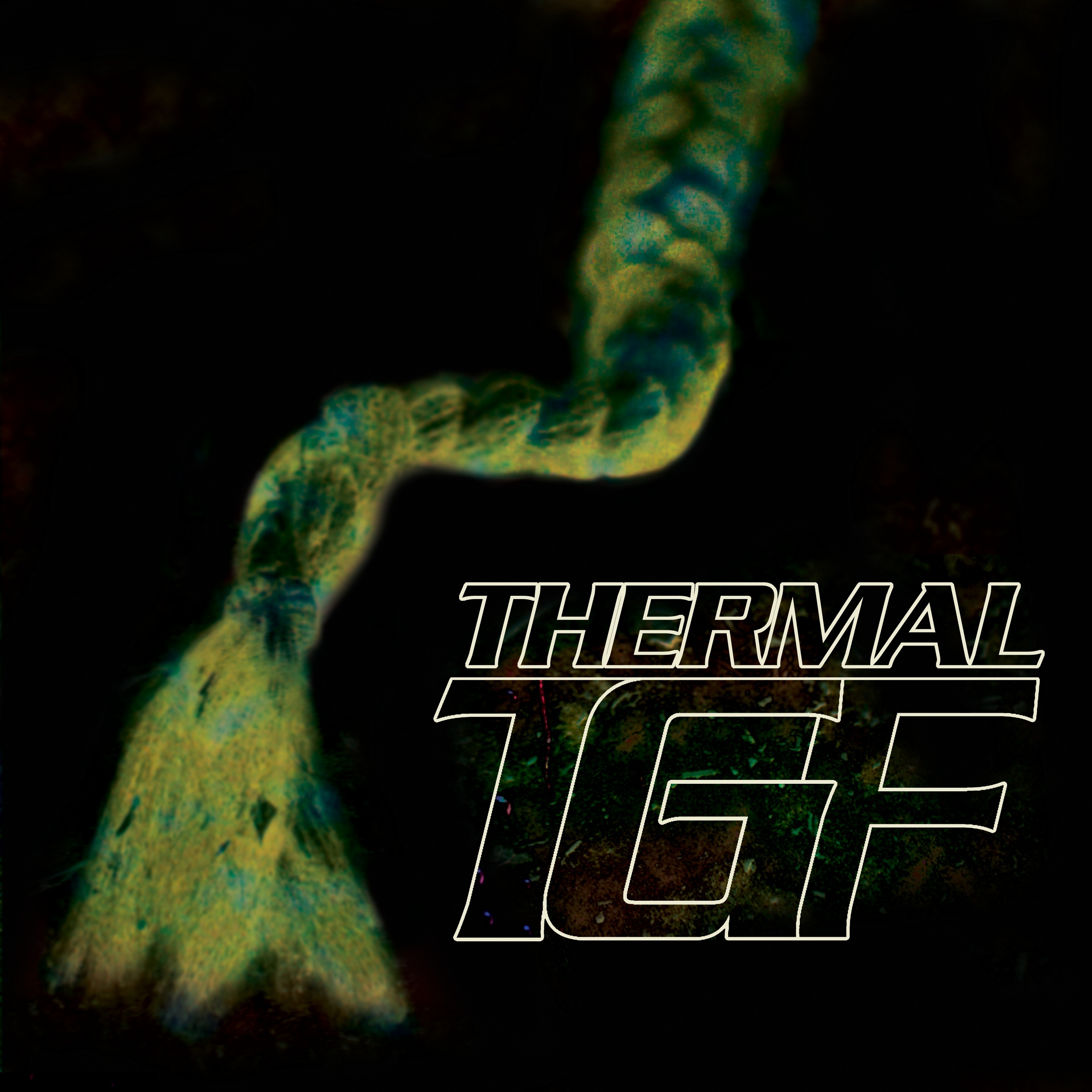 Teengirl Fantasy Thermal EP